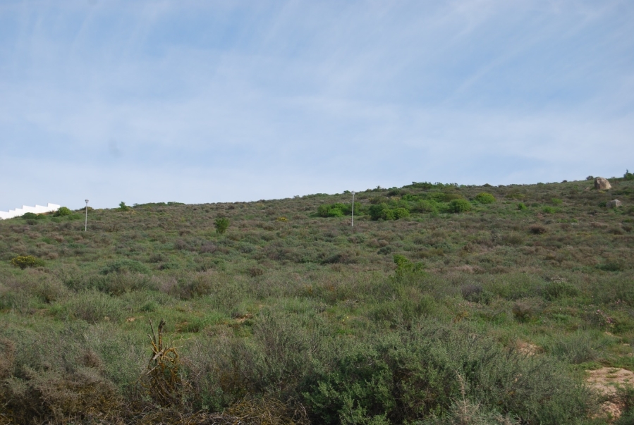 0 Bedroom Property for Sale in Steenbergs Cove Western Cape
